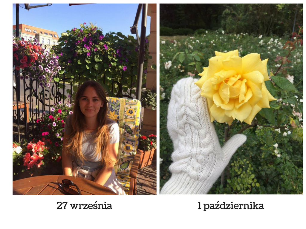 herbalicja