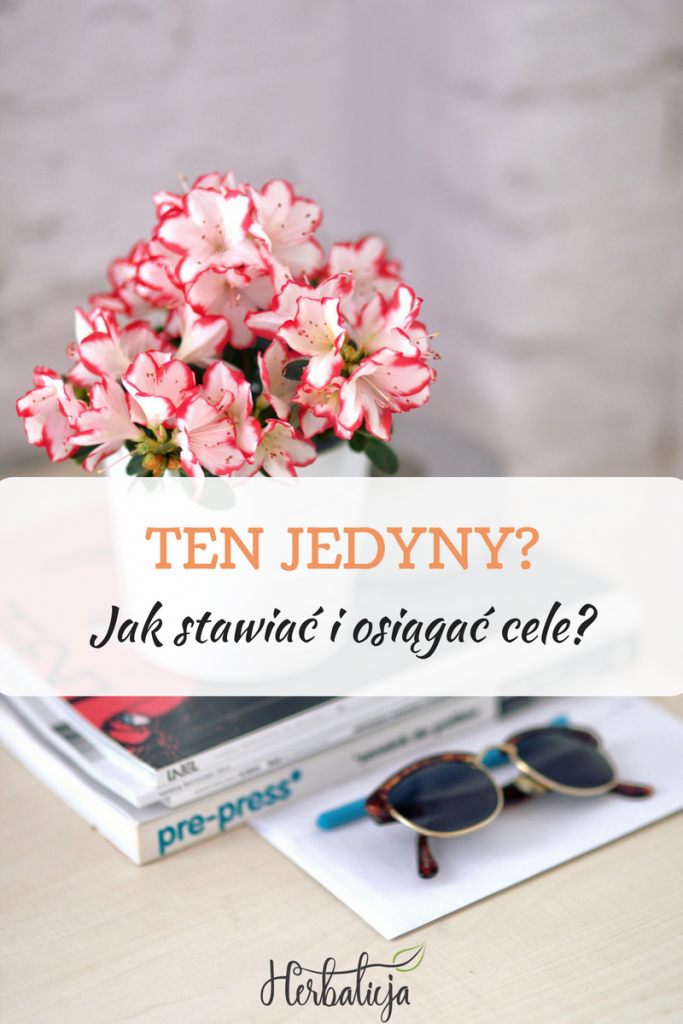 realizacja celów