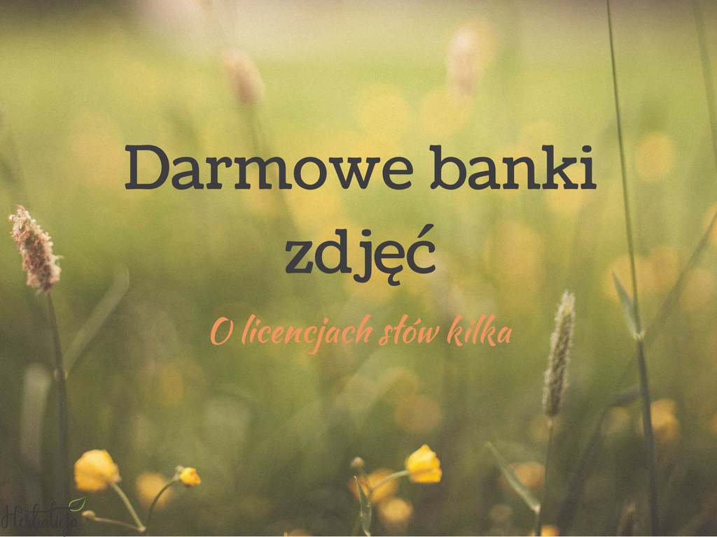 darmowe zdjęcia