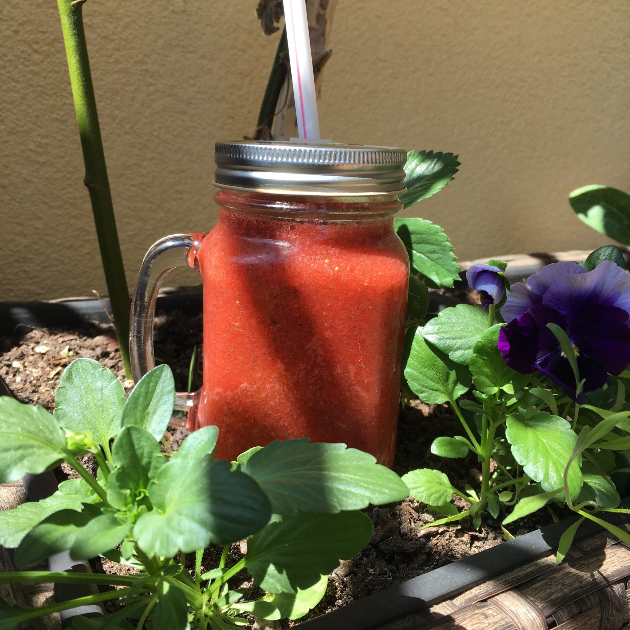 herbalicja